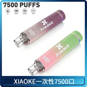 XIAOKE梟客7500Puffs跑馬燈拋棄式電子煙 可發光一次性