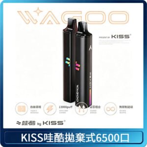 KIS5WAGOO哇酷6500口拋棄式 | 自由混搭雙口味 | 雙芯組合